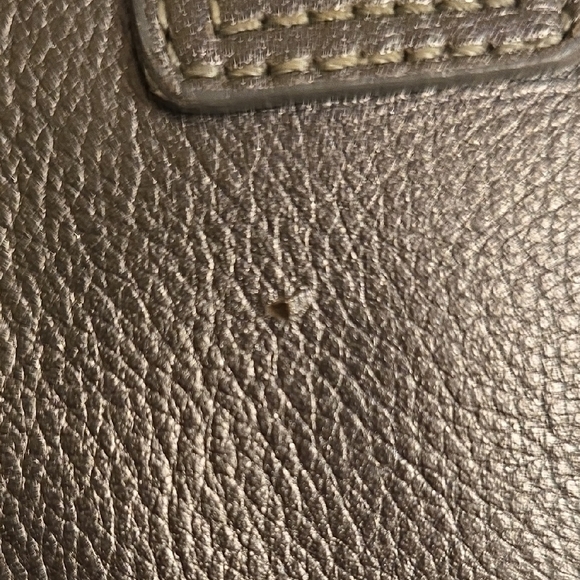 Nordstrom Metallic Shoulder Bag - Picture 6 of 16